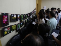 行政一党支部开展“春之约”摄影展