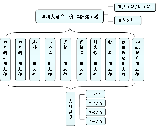 团委组织结构及各团支部所覆盖科室