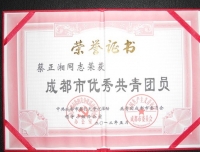 2011年成都市优秀团员