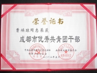 2011年成都市优秀团干部