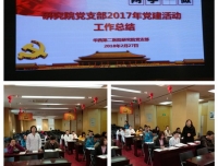 研究院党支部举行年终总结民主评议暨新春闹元宵活动