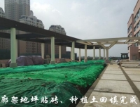 锦江院区一期工程项目建设进展简讯 （一百零一）