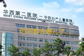 时间都去哪了