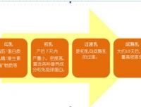 母乳喂养知识与技巧