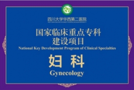国家临床重点专科建设项目-妇科