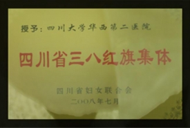 四川省三八红旗集体