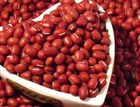 营养专栏丨讲真的，到底吃什么才可以补血，还不花冤枉钱
