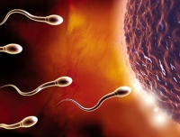 哪些人需要做精液冷冻保存呢？