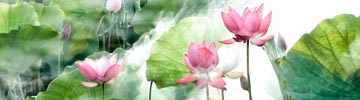 要闻关注