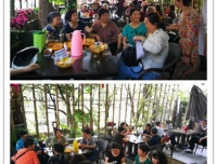 医院退休老师举行“我爱祖国-老有所乐”春游踏青活动
