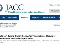 【四川大学】华西第二医院华益民教授团队在国际知名期刊《JACC：cardiovascular interventions》杂志发表临床研究论文