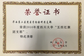 2016年度四川大学五四红旗团支部