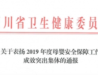 我院被评为2019年度四川省母婴安全保障工作成效突出集体
