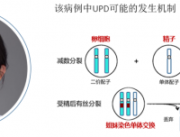 我院青年医生周凡在“中青年医师遗传病病例演说家大赛”全国总决赛中喜获佳绩