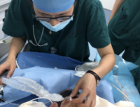 多学科协作为先天性膈疝新生儿成功实施手术