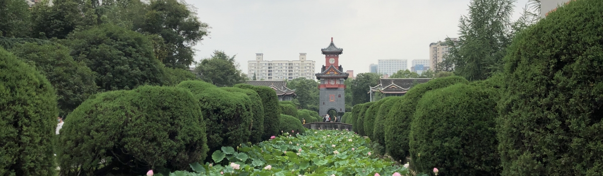 病案管理部