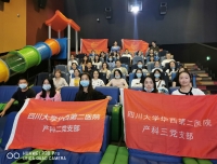 观影守初心 学史悟党性