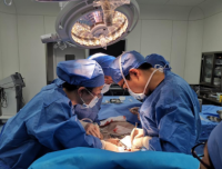 我院麻醉科顺利完成一例极低体重新生儿的食管气管瘘麻醉