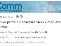我院贾大团队在MedComm上发表论文揭示新冠病毒利用宿主内吞循环途径进行感染的潜在机制